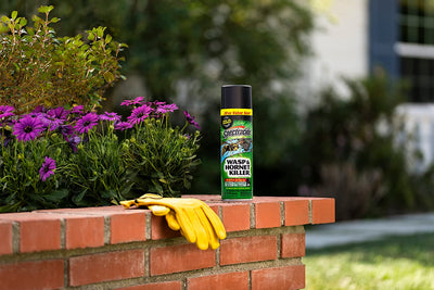 Spectracide Wasp & Hornet Killer Spray, Kills Wasps, Hornets and Yellow Jackets, Sprays Up To 27 Feet, 20 Ounce