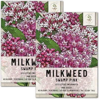 Pink Swamp Milkweed Seeds for Planting (Asclepias incarnata) Single Package of 100 Seeds - Heirloom & Untreated, Attracts Monarchs