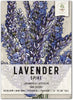 Spike Lavender Seeds for Planting (Lavandula latifolia) Single Package of 500 Seeds - Fragrant Heirloom Attracts Butterflies & Pollinators