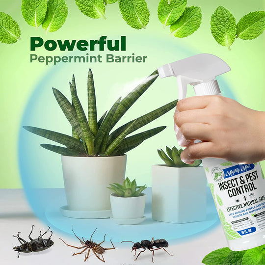 Mighty Mint - 16oz Insect and Pest Control Peppermint Oil - Natural Spray for Spiders, Ants, and More