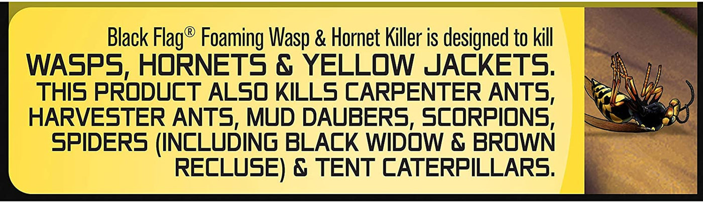 Black Flag Foaming Wasp & Hornet Killer, Kills Wasps and Hornets Nests By Contact, 14 Ounce (Aerosol Spray)