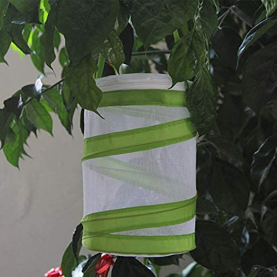 Mini Insect and Butterfly Habitat Insect Mesh Cage Caterpillars House, Bug Terrarium Pop-up 5.5" x 7" Tall for Kids