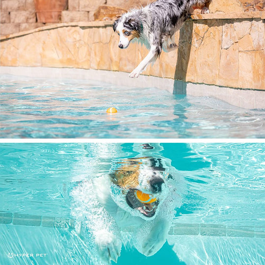 Tennis Balls, Dog Fetch Toys, Grade a Rubber Ball, Orange, 4 Count