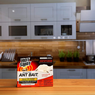 Hot Shot Ant Bait