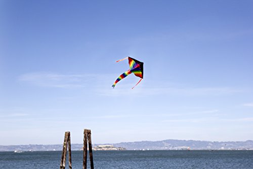 Large Delta Kite