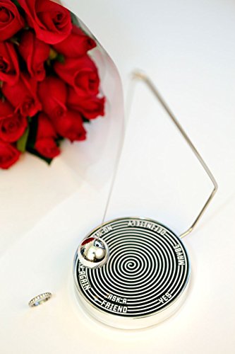 Magnetic Decision Maker