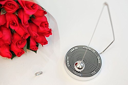 Magnetic Decision Maker