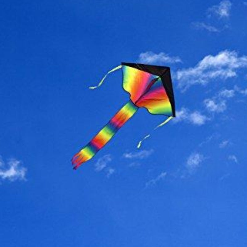 Large Delta Kite