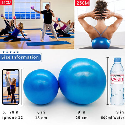 Pilates Exercise Ball Mini Yoga Barre  for Home with Pump