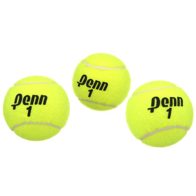 Championship Extra Duty Tennis Balls (1 Can, 3 Balls)
