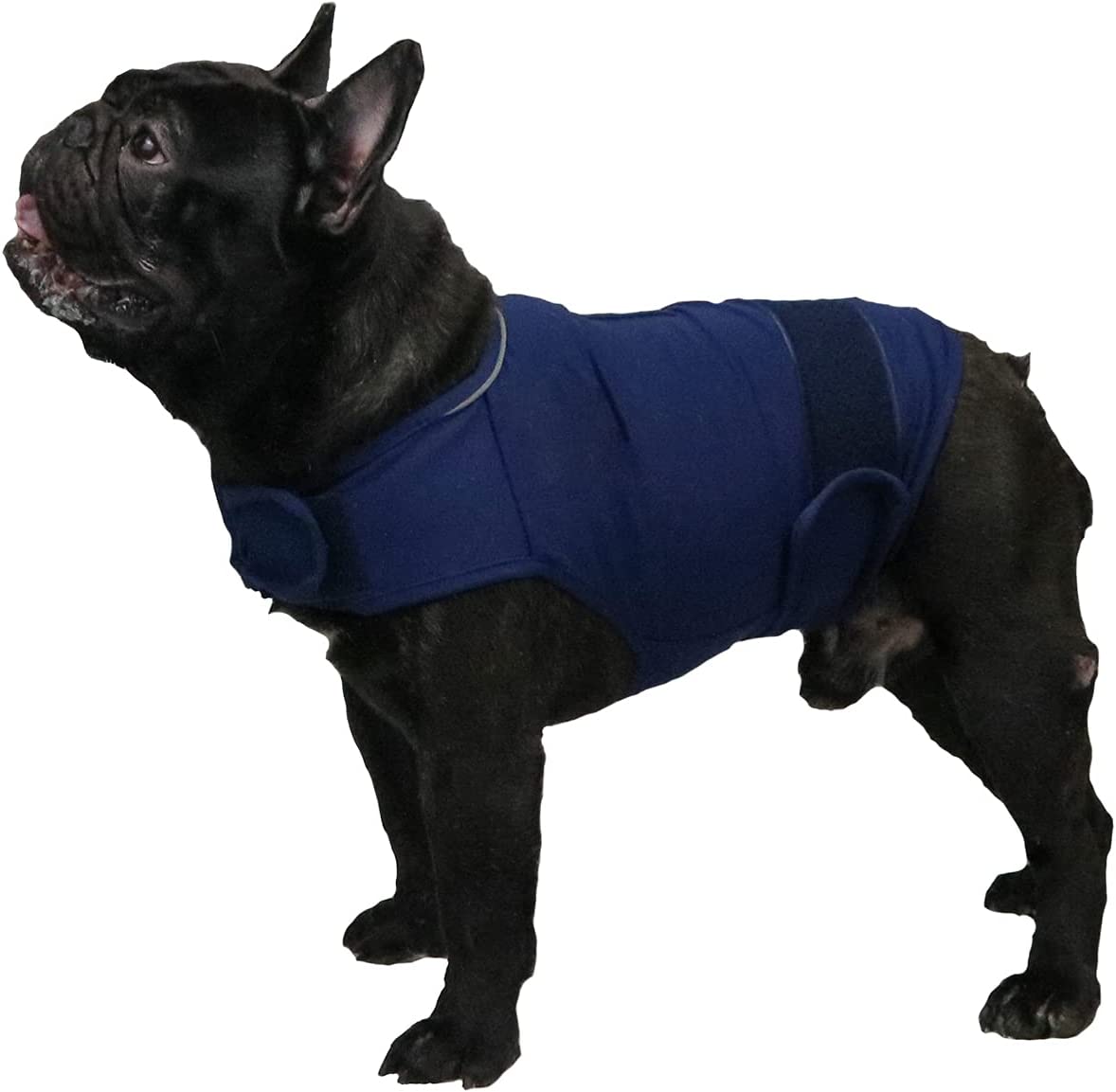  Comfort Dog Anxiety Relief Coat, Dog Anxiety Calming Vest Wrap for Thunderstorm,Travel,4th of July Fireworks,Vet Visits,Separation Anxiety Relief for Dogs (X-Small (Pack of 1), Rose)