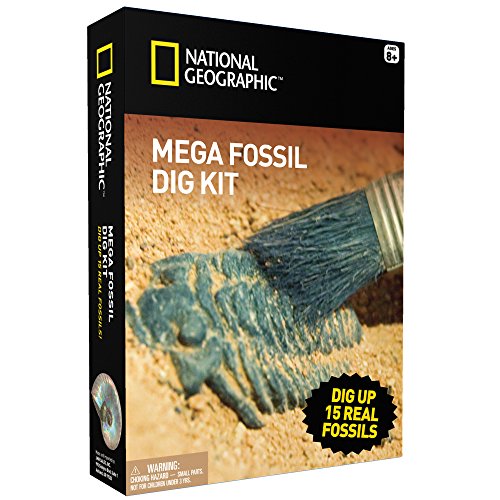 Mega Fossil Mine Dig Site Set – Dig Up 15 Real Fossils