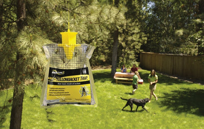 RESCUE! Eastern Yellowjacket Disposable Outdoor Trap, 1 Pack