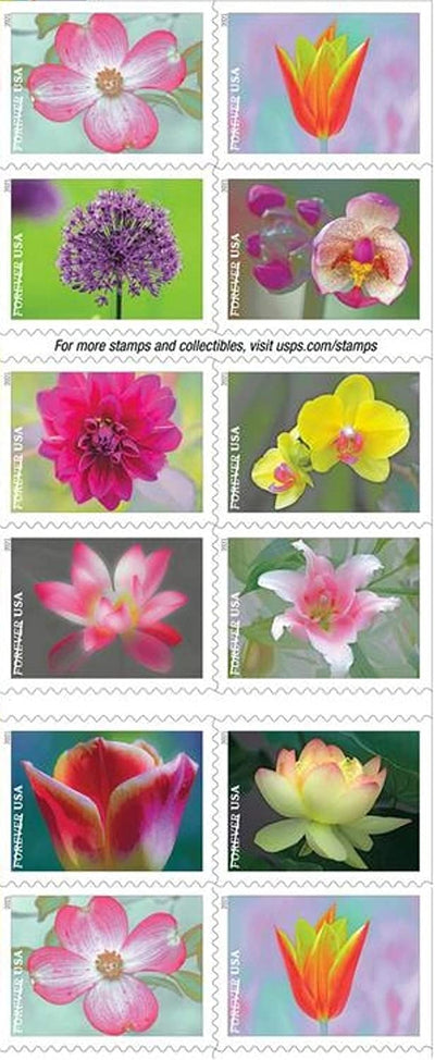 USPS Garden Beauty 2020 Forever Stamps - Booklet of 20 Postage Stamps