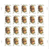 USPS Celebration Corsage Two Ounce 2017 Forever Stamps - Booklet of 20 Postage Stamps - For Birthdays, Weddings, Anniversaries, and Other Celebrations