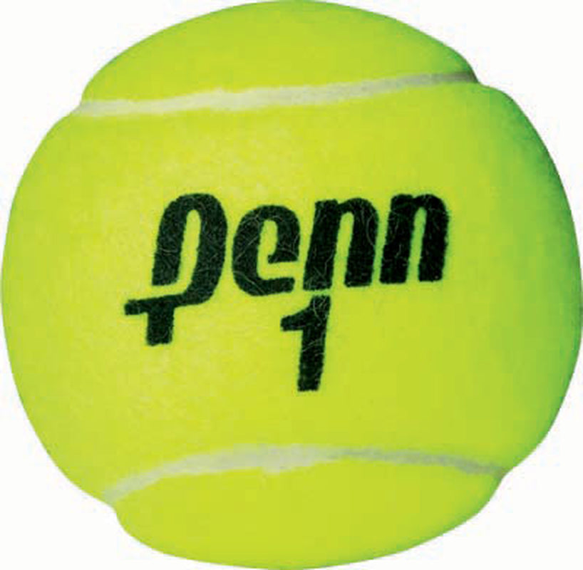 Championship Extra Duty Tennis Balls (1 Can, 3 Balls)