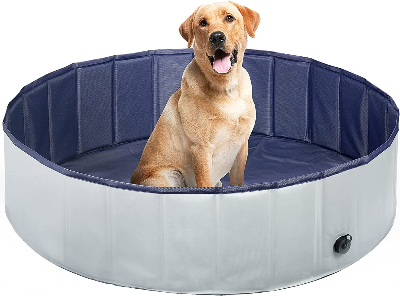 Portable Hard Plastic Pet Bath Pool for Dogs, Collapsible Dog Swimming Pool, Puppy Kiddie Kid Wading Pool for Indoor and Outdoor, 31.5 x 8 inches