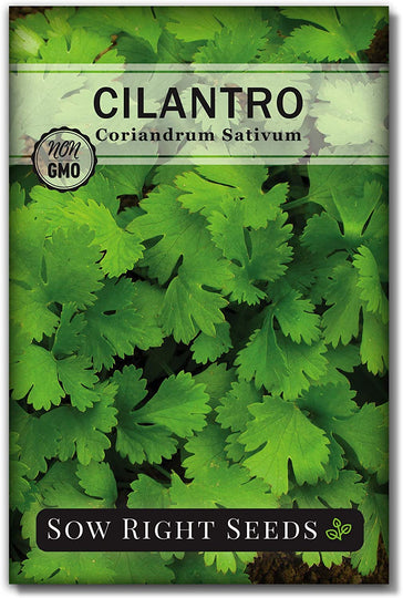  5 Herb Seed Collection - Genovese Basil, Chives, Cilantro, Italian Parsley, and Oregano 