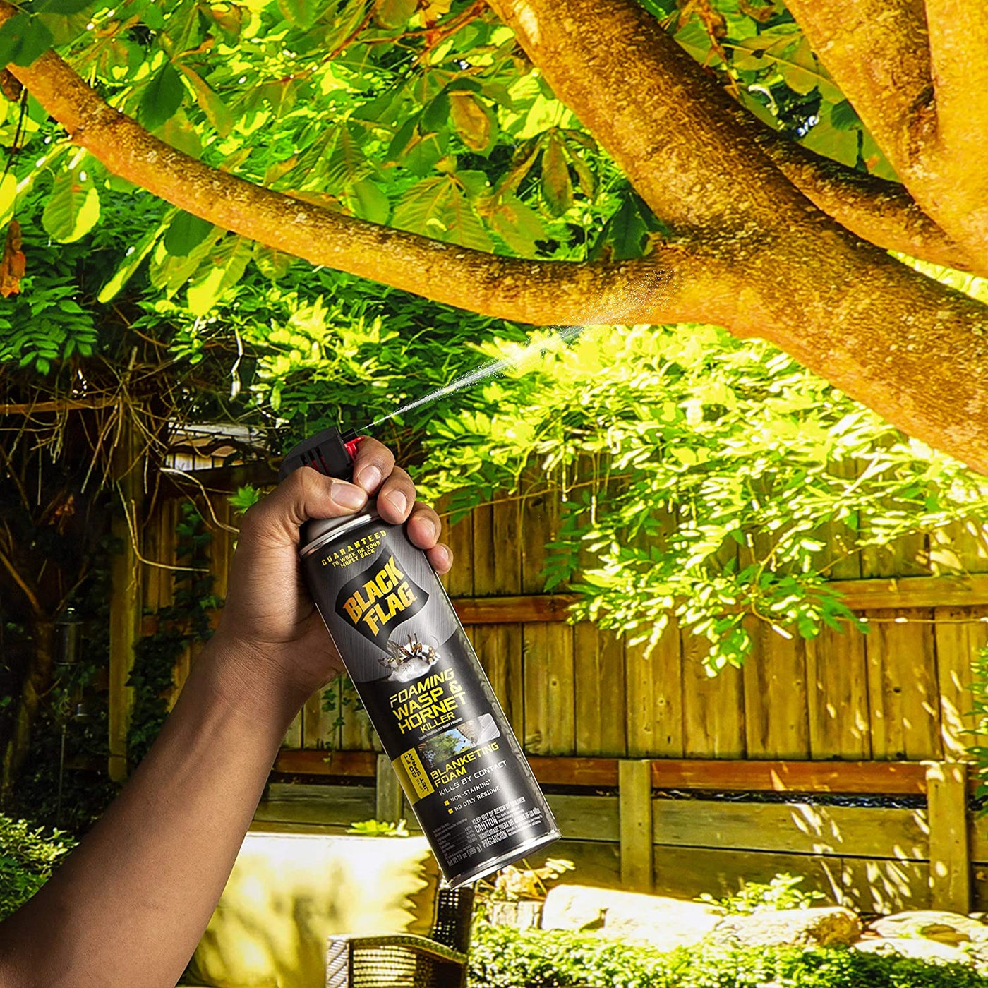 Black Flag Foaming Wasp & Hornet Killer, Kills Wasps and Hornets Nests By Contact, 14 Ounce (Aerosol Spray)