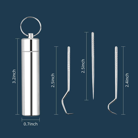 3 Pcs/Set Stainless Steel Toothpicks Kit, Premium Teeth Cleaning Tools, Reusable Floss Tooth Picks Set, Pocket Keychain Portable Metal Toothpicks Holder for Travel, Outdoor