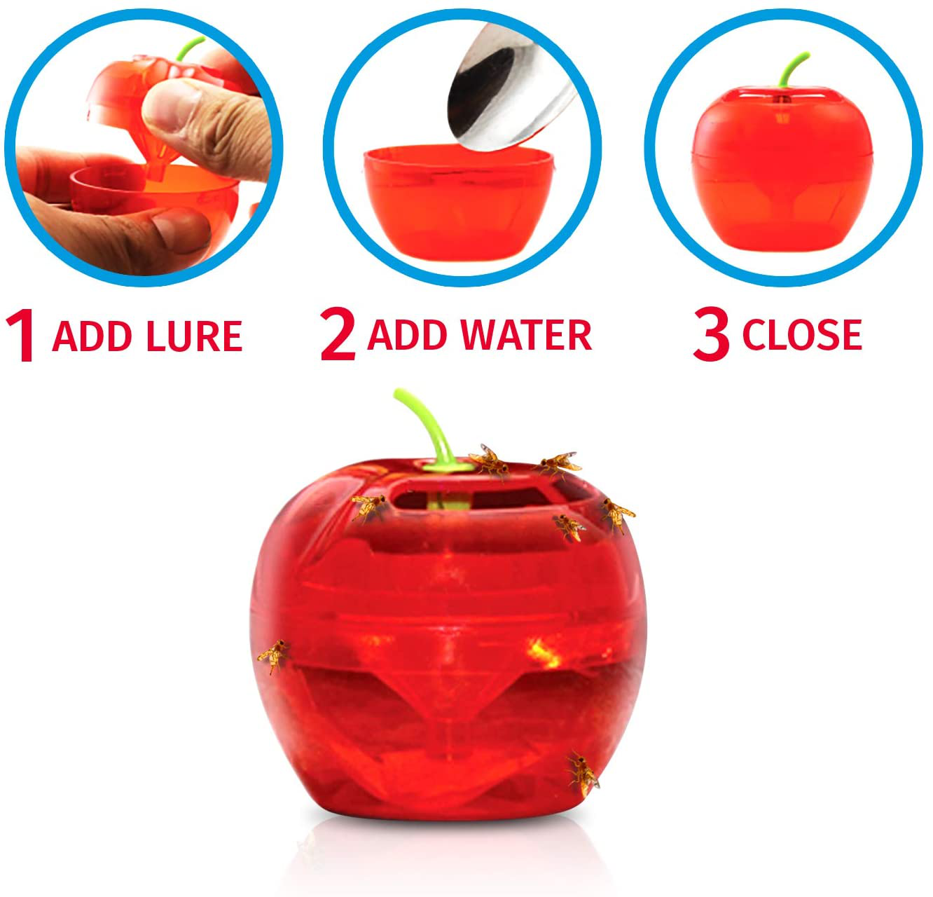 Raid Fruit Fly Trap (2 Pack Bundle) | 2 Lures + 2 Refills | Effective Fly Trap for Indoor Use | Fly Catcher and Gnat Trap for Kitchen & Dining Areas | Easy to Use & Safe Food-Based Lure Fly Catcher