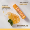 Burt's Bees 100% Natural Origin Moisturizing Lip Balm, Original Beeswax, 2 Tubes in Blister Box