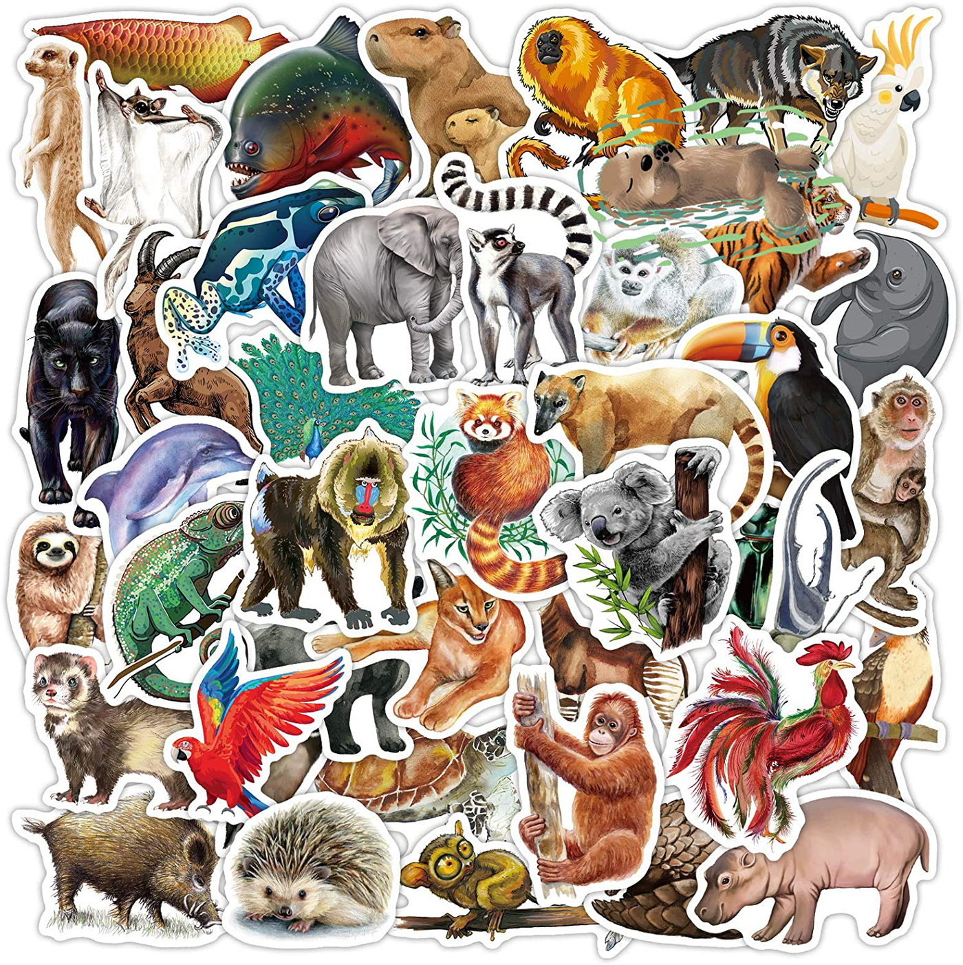 80pcs Waterproof Adventure Outdoor Vinyl Stickers for Laptop Water Bottle