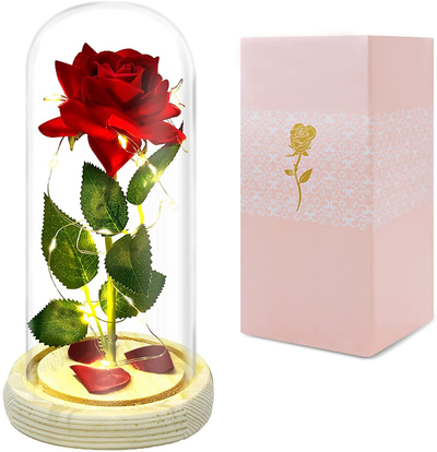 Christmas Rose Gifts for Her, Beauty and The Beast Rose in Glass Dome, Anniversary Rose Gift for Her Romantic, Romantic Xmas Thanksgiving Anniversary Valentines Day Gifts for Her Wife Girlfriend