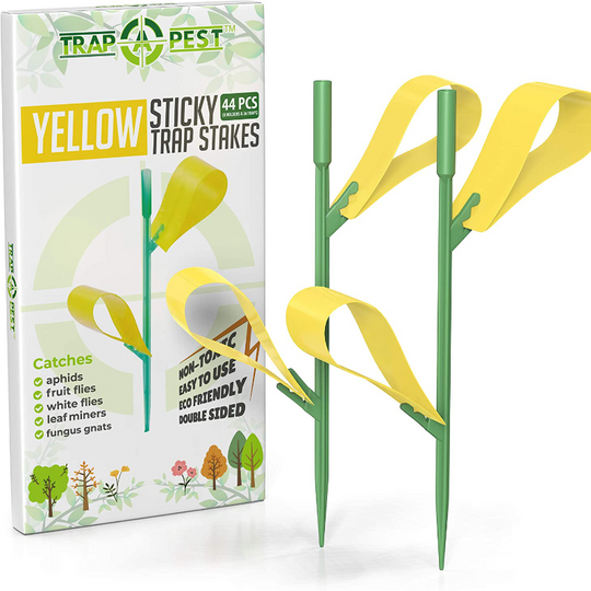 44 Piece Houseplant Sticky Stake Traps for Gnats Indoor and Outdoor 