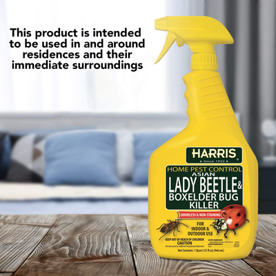 HARRIS Asian Lady Beetle and Box Elder Killer, Liquid Spray with Odorless and Non-Staining Extended Residual Kill Formula (32oz)