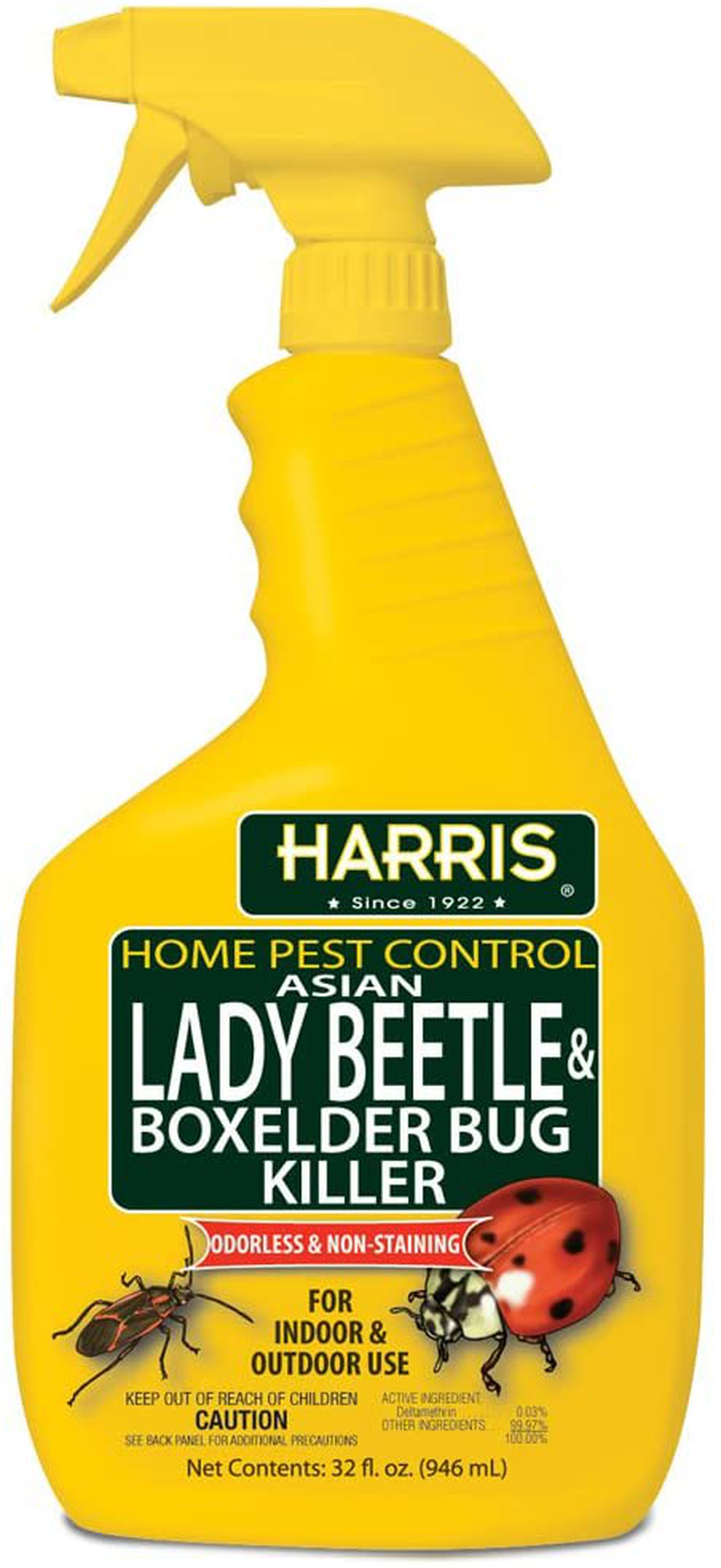 HARRIS Asian Lady Beetle and Box Elder Killer, Liquid Spray with Odorless and Non-Staining Extended Residual Kill Formula (32oz)