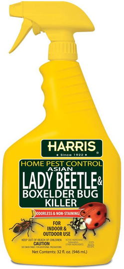 HARRIS Asian Lady Beetle and Box Elder Killer, Liquid Spray with Odorless and Non-Staining Extended Residual Kill Formula (32oz)