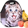 Neoprene Lunch Bag Cat by iColor, Insulated Lunchbo Thermal Lunch Tote Bag Water Resistant Lunch Box & Food Container Great for Travel, Outdoors,Work & More Food Storage Cooler