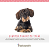 Herbsmith Senior Dog Wisdom – Dog Dementia Supplement – DHA for Senior Dog Brain Health - Senior Supplement for Dogs