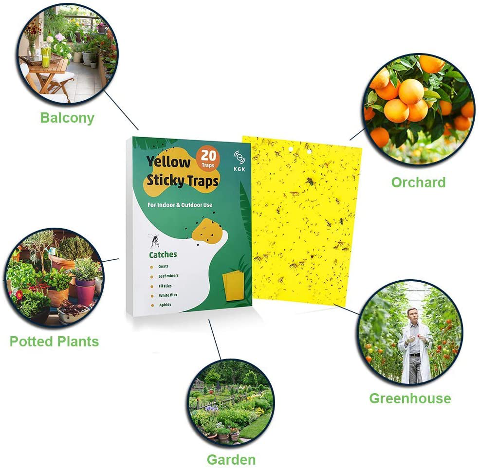 KGK Sticky Traps - 10 Pack, Dual-Sided Yellow Sticky Traps for Fungus Gnats, Aphids, and Other Flying Plant Insects - 6x8 Inches (Twist Ties and Holders Included)