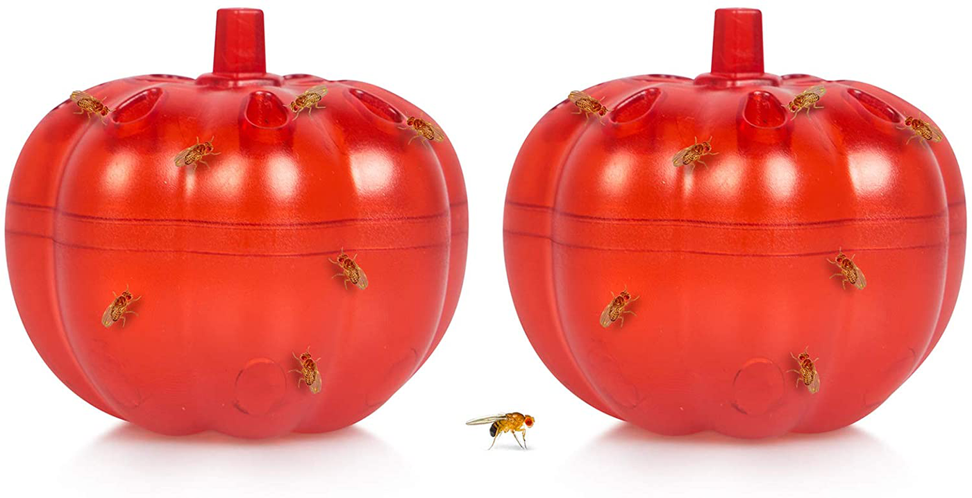 Stingmon 2 Pack Fruit Fly Traps Indoor, Fly Trap for Home, Gnat Killer for Indoor