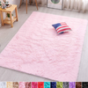 PAGISOFE Pink Fluffy Shag Area Rugs for Bedroom 5x7, Soft Fuzzy Shaggy Rugs for Living Room Carpet Nursery Floor Girls Room Dorm Rug