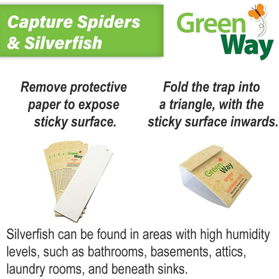 GreenWay Spider & Silverfish Trap - 6 prebaited Traps | Ready to Use Heavy Duty Glue, Safe, Non-Toxic with No Insecticides or Odor, Eco Friendly, Kid and Pet Safe