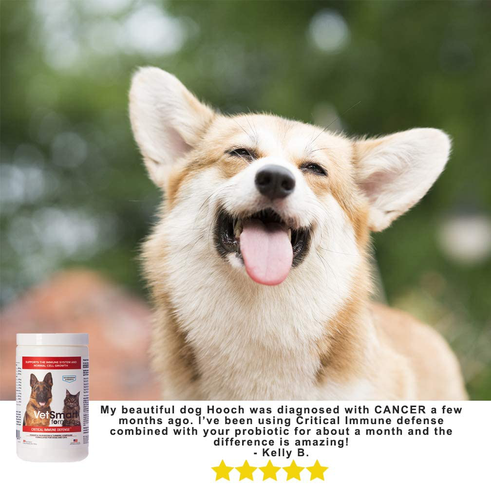 Critical Immune Defense for Dogs & Cats; Supports Normal Cell Growth - Turkey Tail, Reishi, Shiitake and Maitake Mushroom Formula with Patented White Turmeric Root Extract