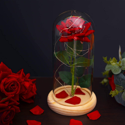 Christmas Rose Gifts for Her, Beauty and The Beast Rose in Glass Dome, Anniversary Rose Gift for Her Romantic, Romantic Xmas Thanksgiving Anniversary Valentines Day Gifts for Her Wife Girlfriend