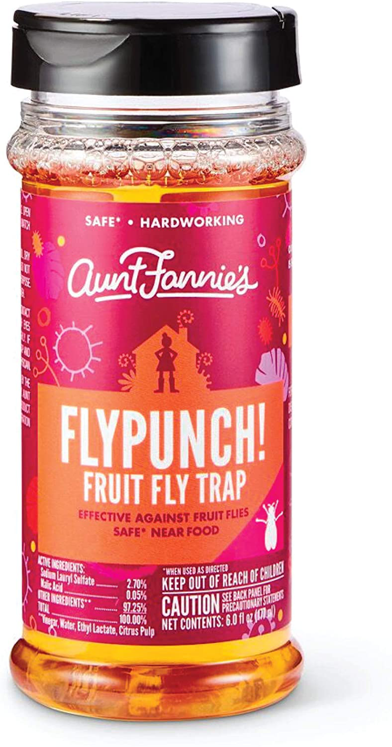 Aunt Fannie's FlyPunch - Fruit Fly Trap, Kill Fruit Flies, for Indoor Use (6-Pack)