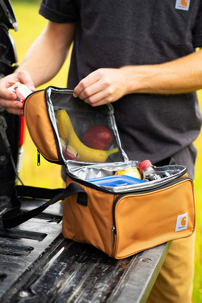 Carhartt Deluxe Dual Compartment Insulated Lunch Cooler Bag, Carhartt Brown