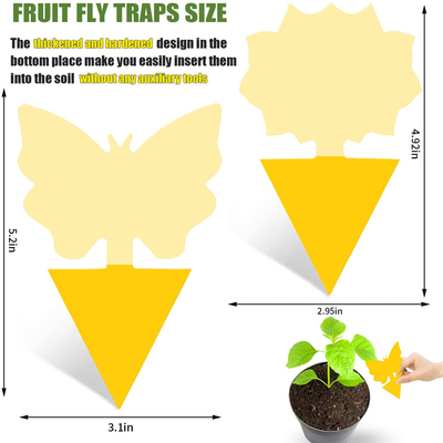 Fruit Fly Traps Indoor Sticky Glue Gnat Trap 24pcs Fungus Gnat Killer for Kitchen House Outdoor Plant Fly Paper Flying Insect Catcher