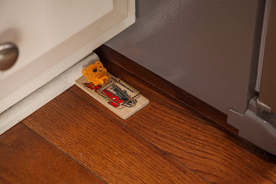 Tomcat Mouse Traps (Wooden)