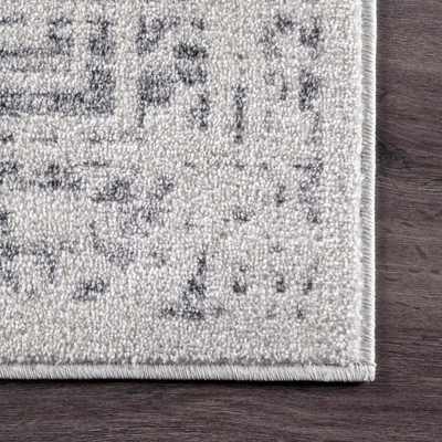 nuLOOM Arlena Vintage Area Rug, 4' x 6', Grey