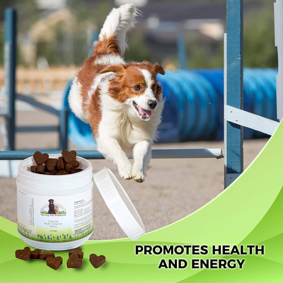 Spring Pet Canine Multi-Vitamin YUMS ~ Formulated with a Comprehensive Blend of Complete Vitamins and Minerals ~ for Use in Dogs Puppies Only ~ Made in USA ~ Recommended by Veterinarians