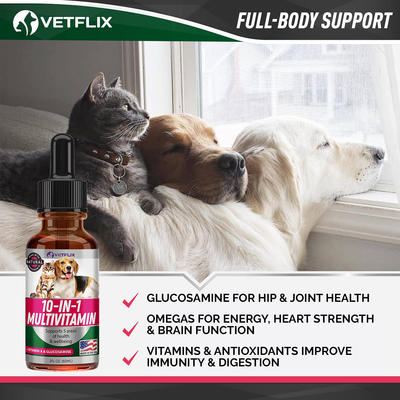 Vetflix Herbal Pet Supplement for Immune System Support