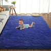 RUGICI Ultra Soft Shaggy Rugs Fuzzy Rugs for Bedroom Nursery Dorm, Cute Plush Area Rug for Teen Kid Room, Upgraded Non-Slip Fluffy Carpet, Modern Rectangular Home Decor Floor Mat, Light Navy 3x5Feet