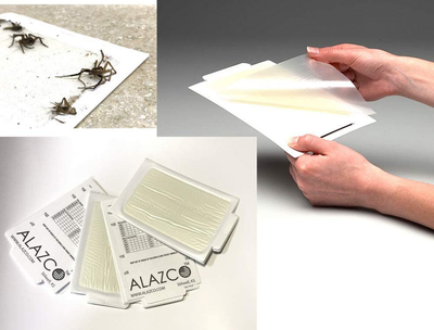 ALAZCO 12 Glue Traps - Excellent Quality Glue Boards Mouse Trap Bugs Insects Spiders, Brown Recluse, Crickets Cockroaches Lizard Scorpion Mice Trap & Monitor Non-Toxic Made in USA