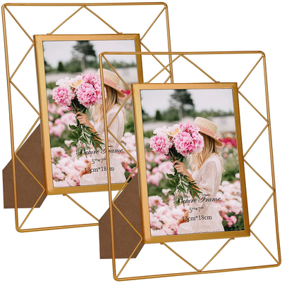 8x10 Picture Frame Set of 2, Metal Frames Fits 8 by 10 Inch Photo Tabletop or Wall Mounting Display